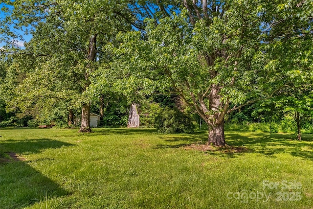 157 E Meadowview Dr, Statesville, NC 28625 - view of green lawn