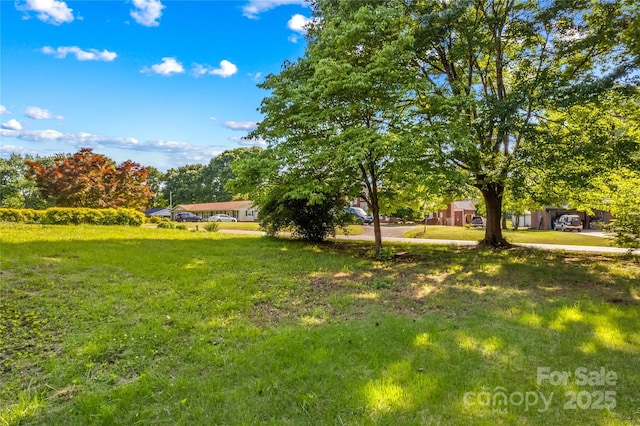 157 E Meadowview Dr, Statesville, NC 28625 - view of yard