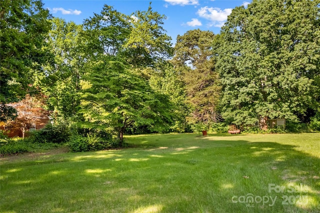 157 E Meadowview Dr, Statesville, NC 28625 - view of grassy yard featuring a forest view