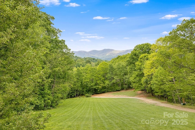 110 Mailon King Rd, Leicester, NC 28748 - mountain view with a forest
