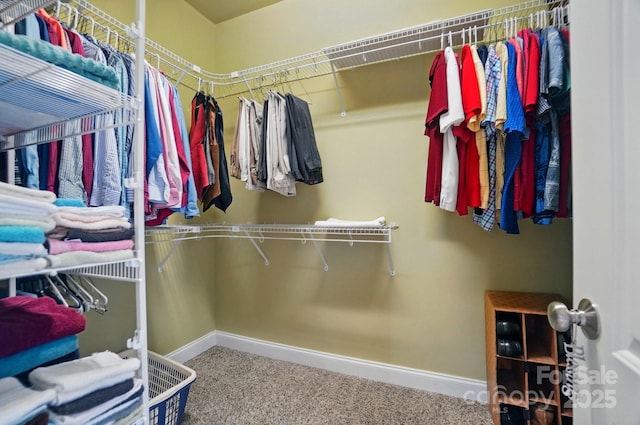 129 Daniel Efird Dr, Mount Holly, NC 28120 - walk in closet featuring carpet flooring
