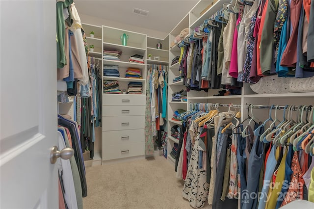 11333 Preservation Ln, Charlotte, NC 28278 - walk in closet featuring carpet floors