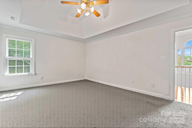 4619 Glasgow Ct, Gastonia, NC 28056 - carpeted spare room featuring a raised ceiling, ceiling fan, and ornamental molding