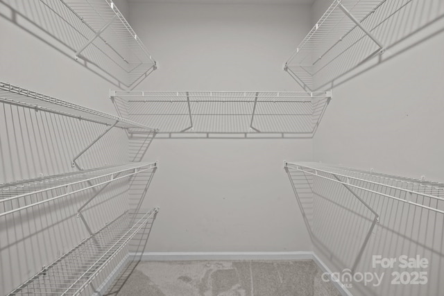 2665 Grantham Place Dr, Fort Mill, SC 29715 - view of spacious closet