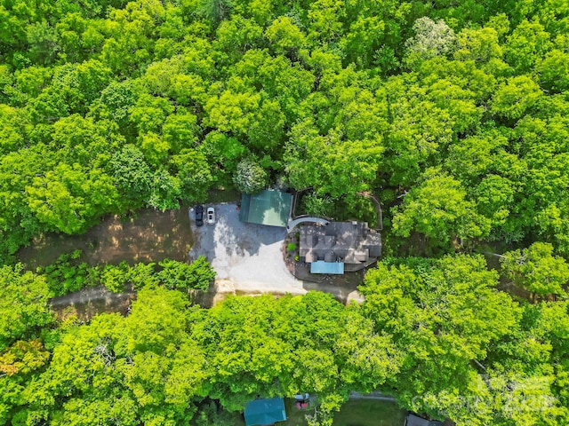 214 Hubert Mccall Rd, Balsam Grove, NC 28708 - bird's eye view