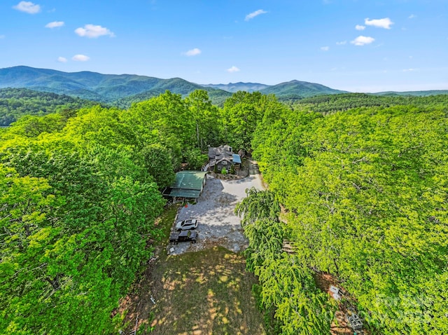 214 Hubert Mccall Rd, Balsam Grove, NC 28708 - view of mountain background featuring a forest