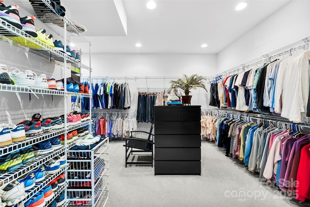 5418 Commodore Pl, Clover, SC 29710 - spacious closet with carpet floors