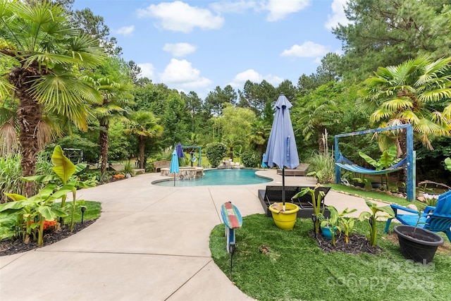 5418 Commodore Pl, Clover, SC 29710 - outdoor pool featuring a patio and view of wooded area