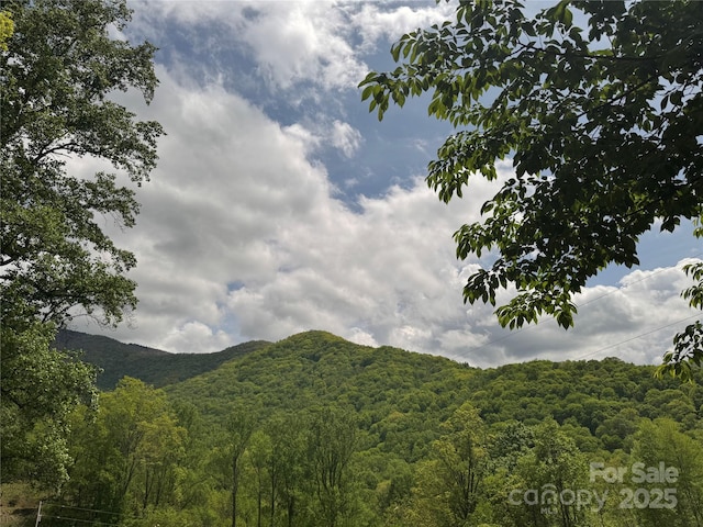 000 Rickman Rdg, Canton, NC 28716