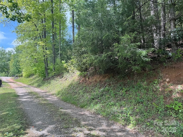000 Rickman Rdg, Canton, NC 28716