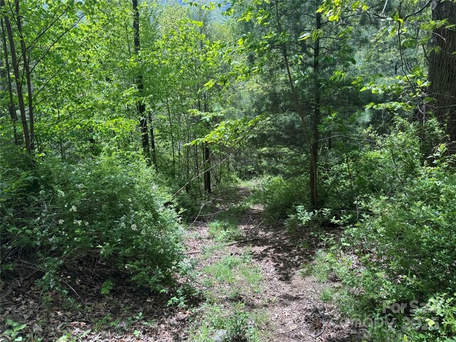 000 Rickman Rdg, Canton, NC 28716