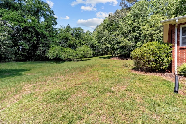 24501 Canton Rd, Albemarle, NC 28001 - view of grassy yard