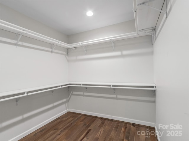 155 Pebble Ridge Rd, Spruce Pine, NC 28777 - walk in closet with dark wood-style flooring