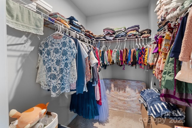 spacious closet featuring carpet flooring