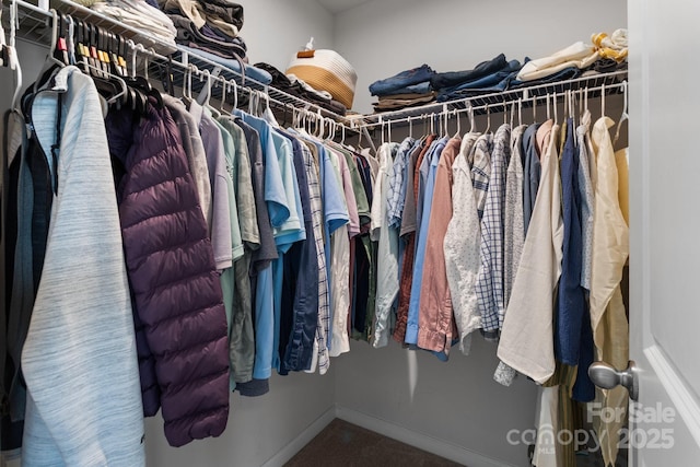 view of spacious closet