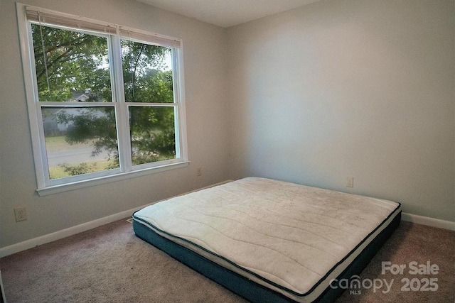 305 Ridge Manor Dr, Raeford Township, NC 28376 - bedroom with multiple windows, baseboards, and carpet flooring