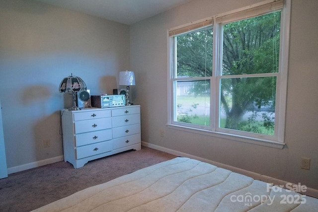 305 Ridge Manor Dr, Raeford Township, NC 28376 - carpeted bedroom featuring multiple windows and baseboards
