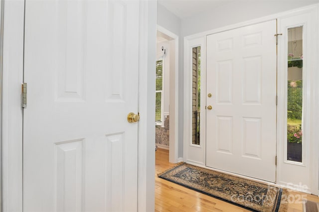2906 Chapman Cir, Rock Hill, SC 29732 - entryway featuring plenty of natural light and light wood-type flooring