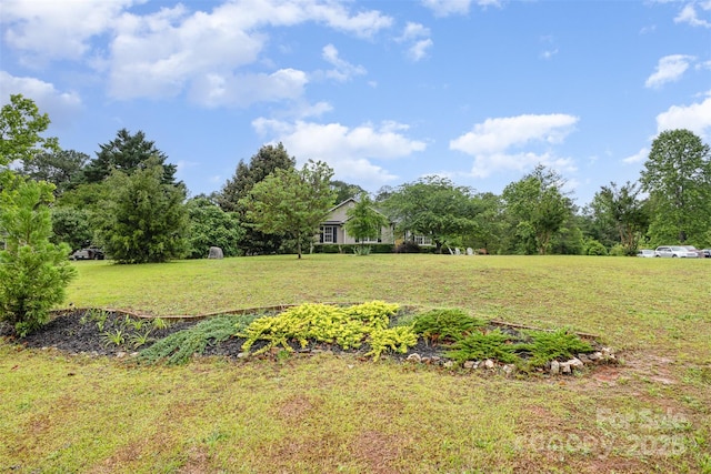 2906 Chapman Cir, Rock Hill, SC 29732 - view of green lawn