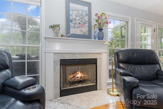 2906 Chapman Cir, Rock Hill, SC 29732 - living room with a premium fireplace