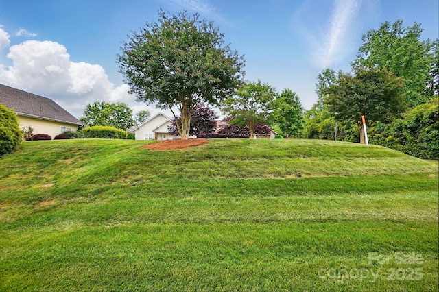 view of green lawn