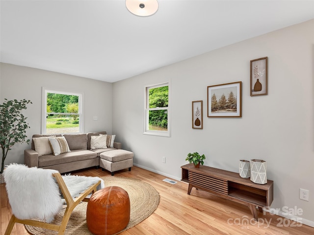 16 Emerson Poore Dr, Candler, NC 28715 - living area with plenty of natural light, wood finished floors, and baseboards