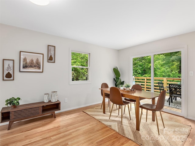 16 Emerson Poore Dr, Candler, NC 28715 - dining area with plenty of natural light, light wood-type flooring, and baseboards