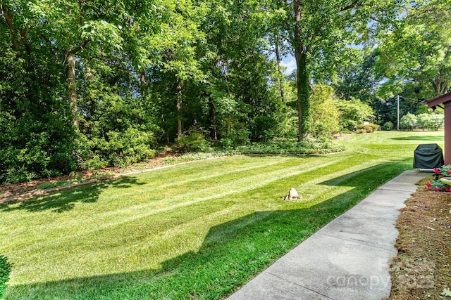 view of green lawn