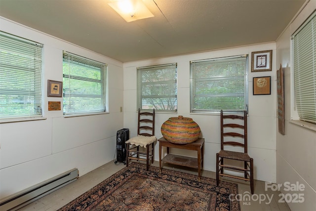 223 Assembly Dr, Montreat, NC 28757 - living area with a baseboard heating unit