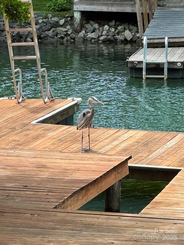 147 Bluewing Ln Unit 274, Mooresville, NC 28117 - dock featuring a water view