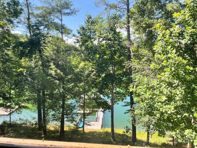 357 Lentz Landing Ln, Nebo, NC 28761 - water view