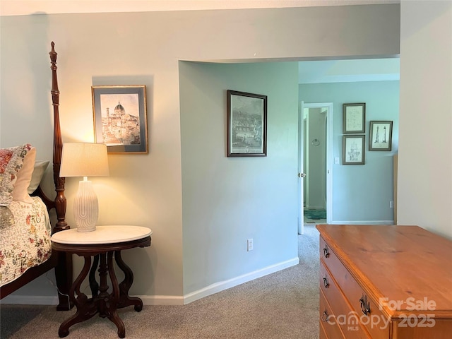 357 Lentz Landing Ln, Nebo, NC 28761 - hall featuring carpet floors and baseboards