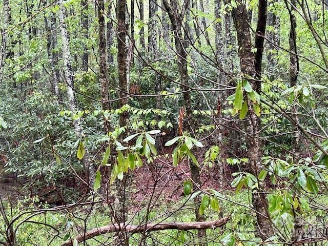 TBD Goshen Dr Unit 19, Boone, NC 28607