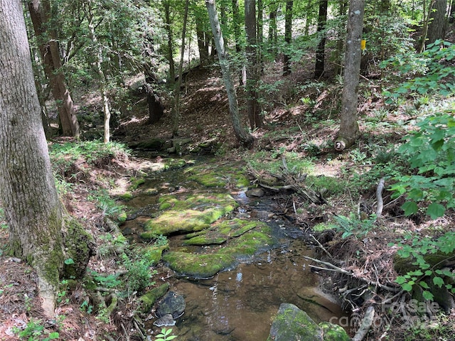 view of wooded area