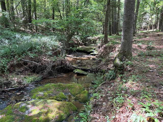view of wooded area