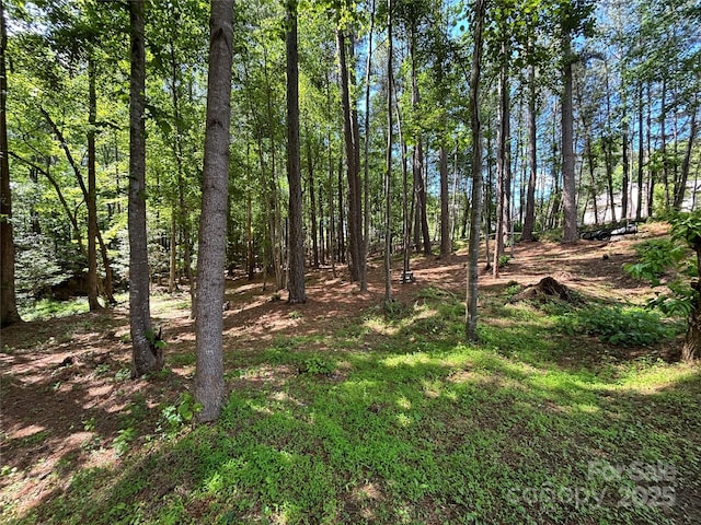 view of nature