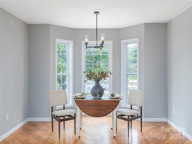 2600 Crabtree Rd, Waynesville, NC 28785 - dining area with baseboards, a chandelier, and light wood-type flooring
