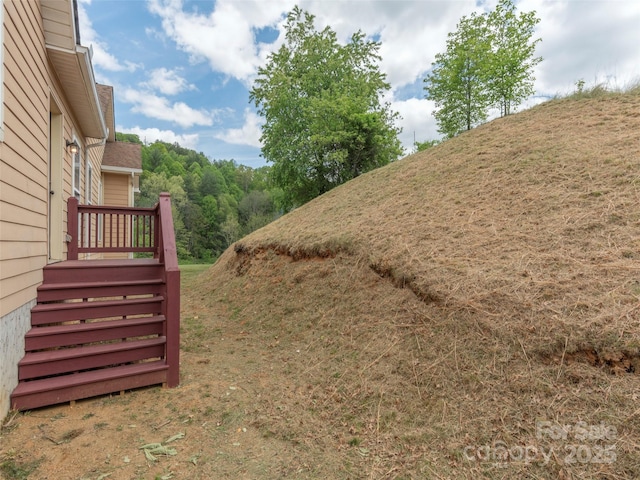 2600 Crabtree Rd, Waynesville, NC 28785 - view of yard
