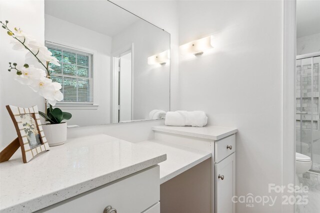 bathroom featuring vanity, a shower stall, and toilet