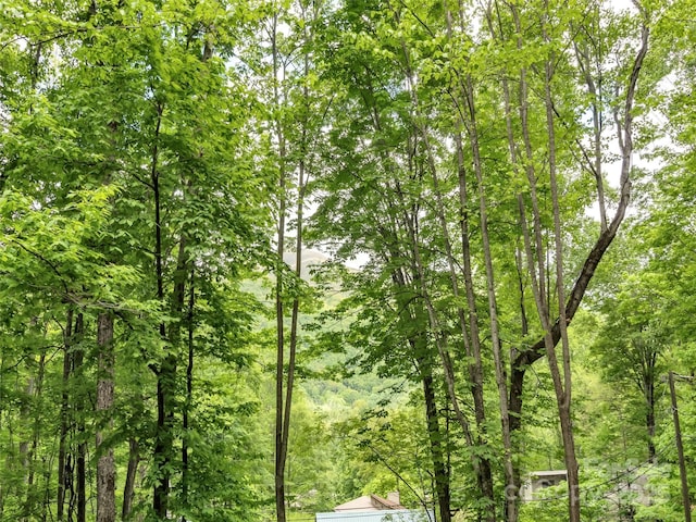 76 Shirley Dr, Maggie Valley, NC 28751 - view of tree filled area
