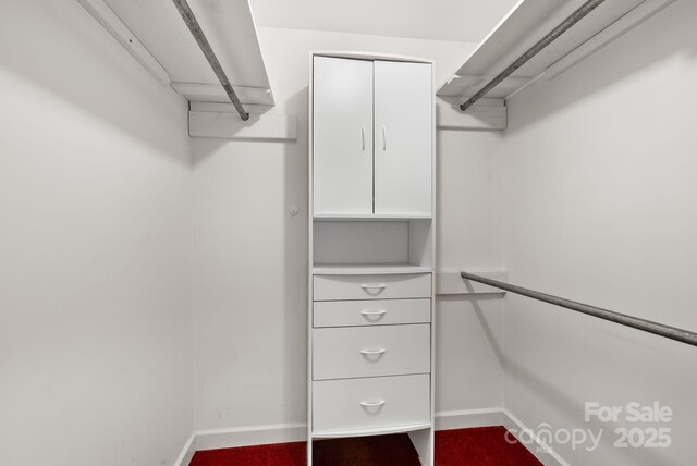 304 La Foret Dr, Morganton, NC 28655 - view of spacious closet