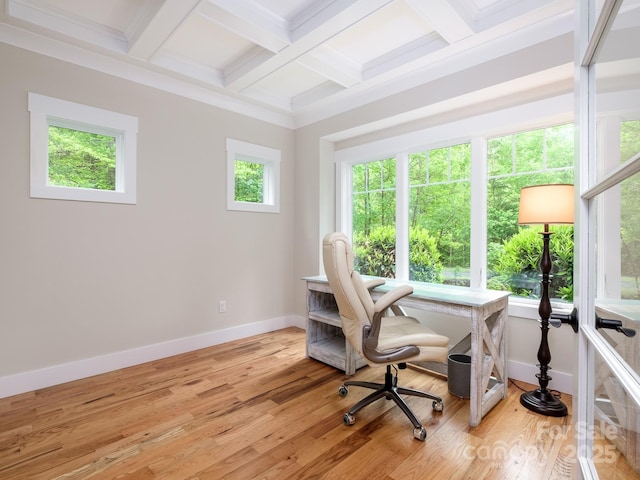 office with baseboards, coffered ceiling, beamed ceiling, and light wood-type flooring