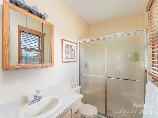 336 Stoney Ridge Loop, Maggie Valley, NC 28751 - bathroom featuring an enclosed shower, vanity, and toilet