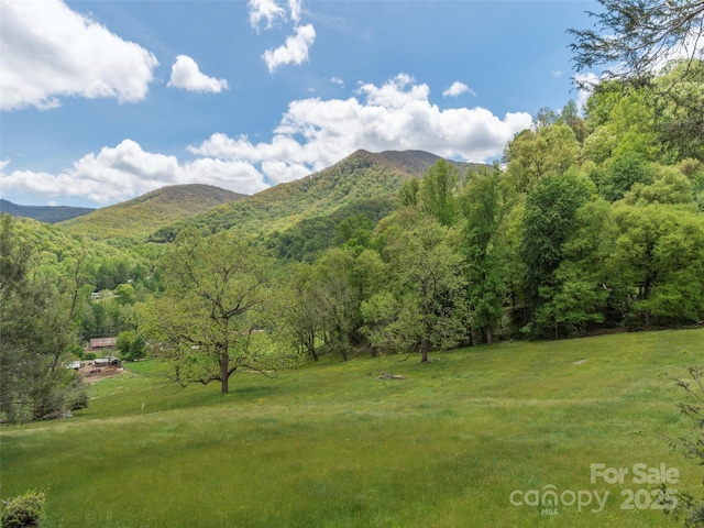 336 Stoney Ridge Loop, Maggie Valley, NC 28751 - view of mountain background with a forest