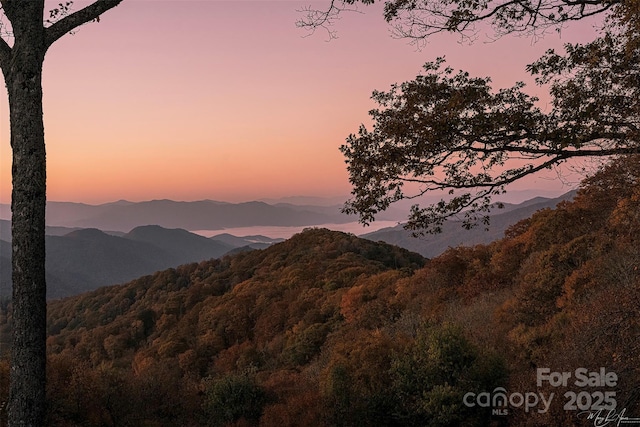 61 Creekside Way Unit G/101, Burnsville, NC 28714 - view of mountain background with a forest