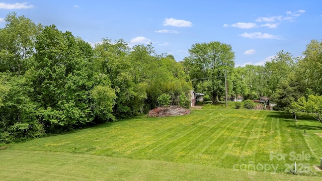 1 Ola Dr, Candler, NC 28715 - view of grassy yard