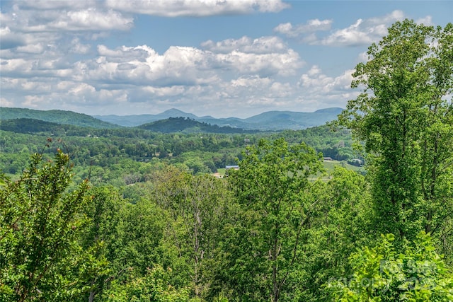 81 Curtain Blf, Hendersonville, NC 28791 - photo 1