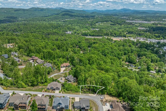 81 Curtain Blf, Hendersonville, NC 28791 - photo 2