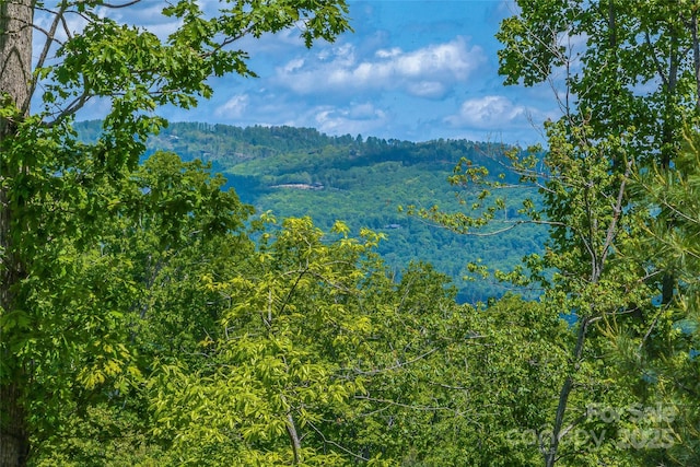 81 Curtain Blf, Hendersonville, NC 28791 - photo 7