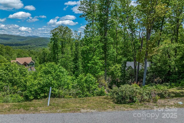 81 Curtain Blf, Hendersonville, NC 28791 - photo 12